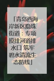 青岛西海岸新区隐珠街道：专项摸排河道排水口 筑牢碧水清流生态防线