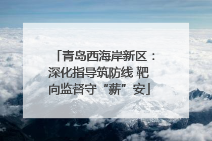青岛西海岸新区：深化指导筑防线 靶向监督守“薪”安