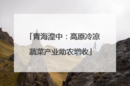 青海湟中：高原冷凉蔬菜产业助农增收