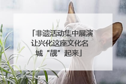 非遗活动集中展演 让兴化这座文化名城“靓”起来