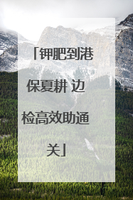 钾肥到港保夏耕 边检高效助通关
