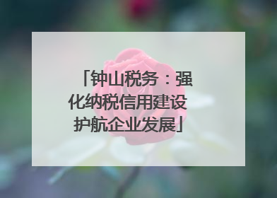 钟山税务：强化纳税信用建设护航企业发展