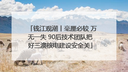 钱江观潮丨毫厘必较 万无一失 90后技术团队把好三澳核电建设安全关