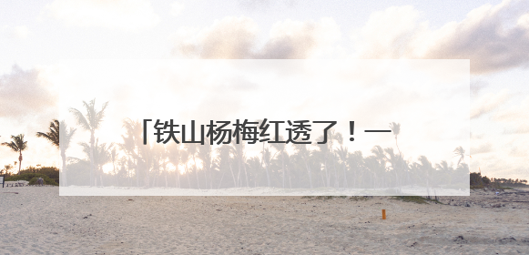 铁山杨梅红透了！一年一遇的酸甜风暴 再不来就真错过了