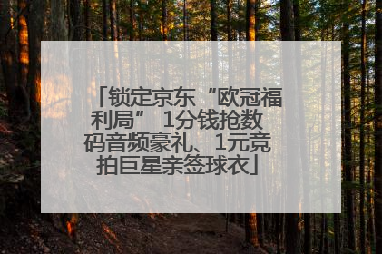锁定京东“欧冠福利局” 1分钱抢数码音频豪礼、1元竞拍巨星亲签球衣