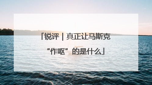 锐评｜真正让马斯克“作呕”的是什么