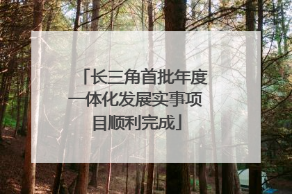 长三角首批年度一体化发展实事项目顺利完成