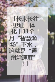 长来长往·见证一体化丨11个月“智慧渔场”下水，这就是“通州湾速度”！