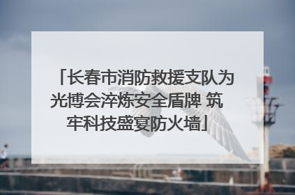 长春市消防救援支队为光博会淬炼安全盾牌 筑牢科技盛宴防火墙