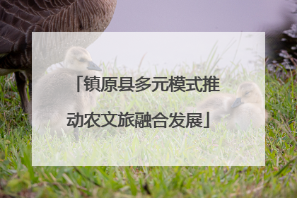 镇原县多元模式推动农文旅融合发展
