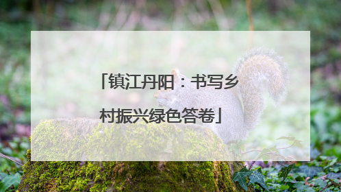 镇江丹阳：书写乡村振兴绿色答卷