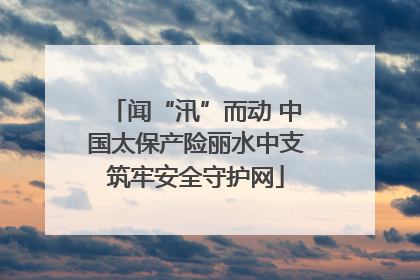 闻“汛”而动 中国太保产险丽水中支筑牢安全守护网
