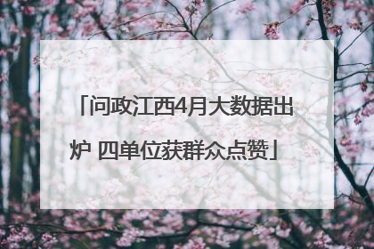 问政江西4月大数据出炉 四单位获群众点赞