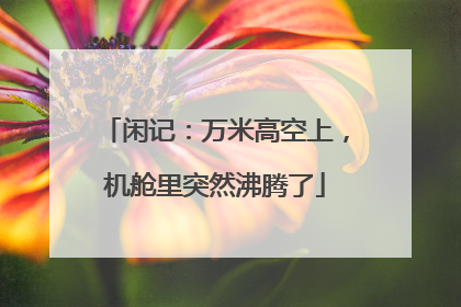 闲记：万米高空上，机舱里突然沸腾了