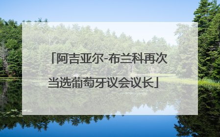 阿吉亚尔-布兰科再次当选葡萄牙议会议长