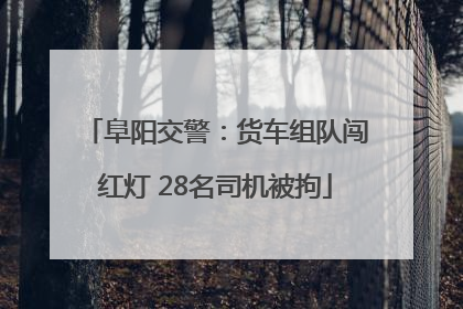 阜阳交警：货车组队闯红灯 28名司机被拘