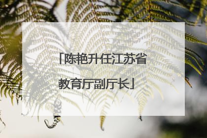 陈艳升任江苏省教育厅副厅长