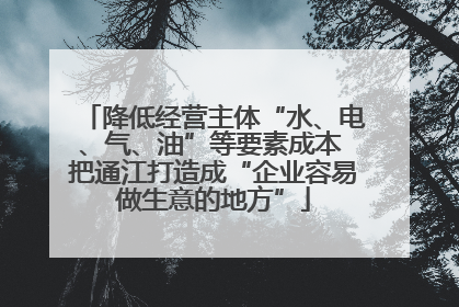 降低经营主体“水、电、气、油”等要素成本 把通江打造成“企业容易做生意的地方”