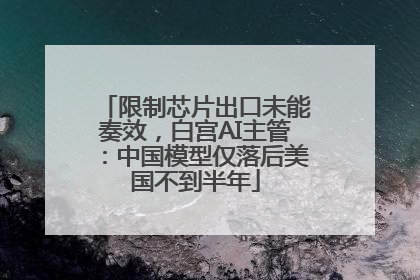 限制芯片出口未能奏效，白宫AI主管：中国模型仅落后美国不到半年