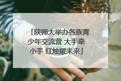 陕师大举办各族青少年交流营 大手牵小手 红烛耀未来