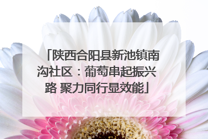 陕西合阳县新池镇南沟社区：葡萄串起振兴路 聚力同行显效能