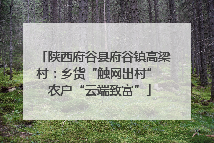 陕西府谷县府谷镇高梁村：乡货“触网出村” 农户“云端致富”