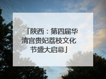 陕西：第四届华清宫贵妃荔枝文化节盛大启幕