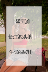 隆宝滩：长江源头的生命律动