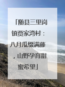 随县三里岗镇贾家湾村：八月瓜缀满藤，山野孕育甜蜜希望