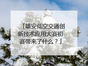 雄安低空交通创新技术应用大赛初赛带来了什么？