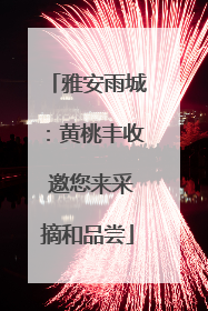 雅安雨城：黄桃丰收 邀您来采摘和品尝