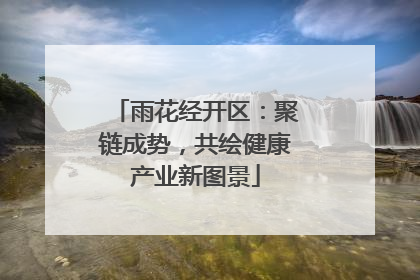 雨花经开区：聚链成势，共绘健康产业新图景