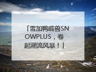 雪加鸭嘴兽SNOWPLUS，卷起潮流风暴！