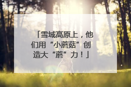 雪域高原上，他们用“小蘑菇”创造大“蘑”力！