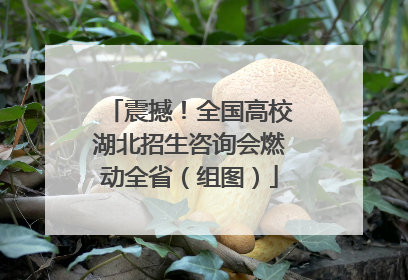 震撼！全国高校湖北招生咨询会燃动全省（组图）