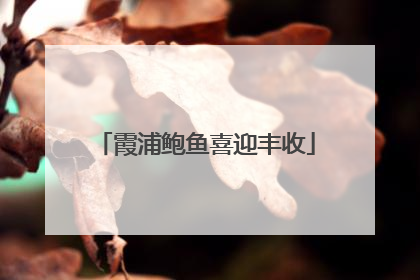 霞浦鲍鱼喜迎丰收