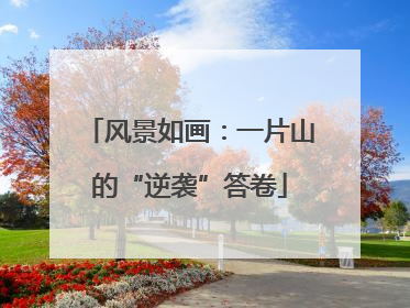 风景如画：一片山的“逆袭”答卷