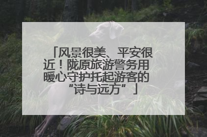 风景很美、平安很近！陇原旅游警务用暖心守护托起游客的“诗与远方”