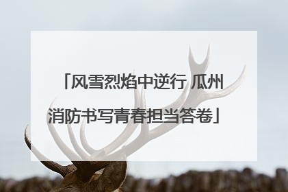 风雪烈焰中逆行 瓜州消防书写青春担当答卷