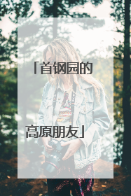 首钢园的高原朋友