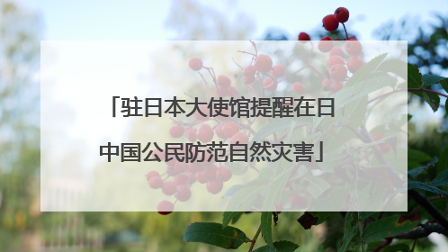 驻日本大使馆提醒在日中国公民防范自然灾害