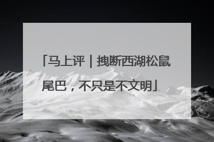 马上评｜拽断西湖松鼠尾巴，不只是不文明