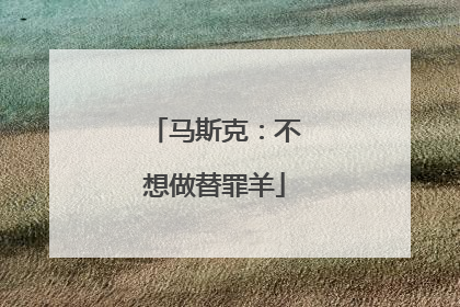 马斯克：不想做替罪羊