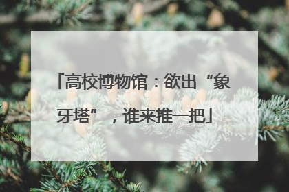 高校博物馆：欲出“象牙塔”，谁来推一把