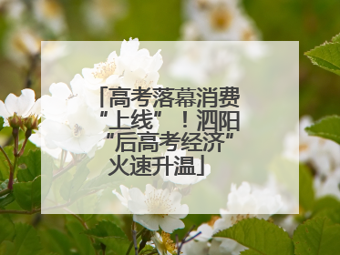 高考落幕消费“上线”！泗阳“后高考经济”火速升温