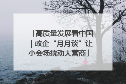 高质量发展看中国｜政企“月月谈”让小会场撬动大营商