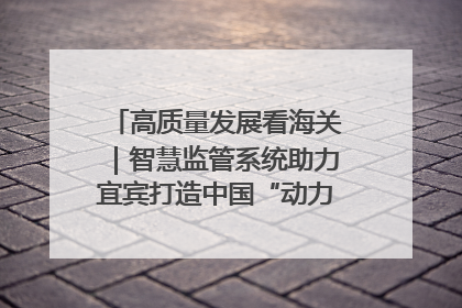 高质量发展看海关｜智慧监管系统助力宜宾打造中国“动力电池之都”
