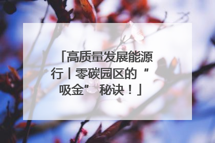 高质量发展能源行丨零碳园区的“吸金” 秘诀！