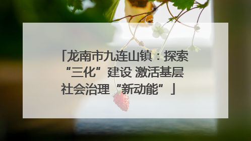龙南市九连山镇：探索“三化”建设 激活基层社会治理“新动能”