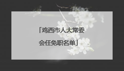 鸡西市人大常委会任免职名单